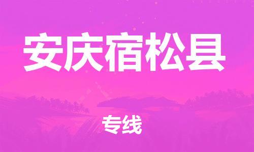 新豐縣到安慶宿松縣危險(xiǎn)品物流-新豐縣到安慶宿松縣危險(xiǎn)品運(yùn)輸專線-涂料樹脂專業(yè)貨運(yùn)歡迎訪問