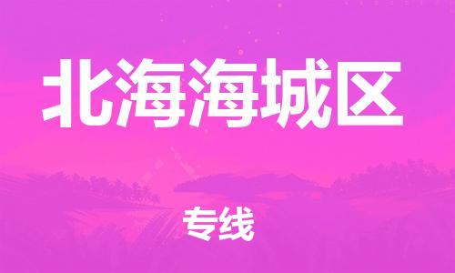 新豐縣到北海海城區(qū)危險品物流-新豐縣到北海海城區(qū)危險品運輸專線-涂料樹脂專業(yè)貨運歡迎訪問