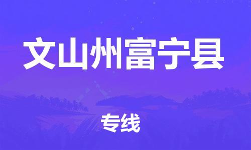 新豐縣到文山州富寧縣危險品物流-新豐縣到文山州富寧縣危險品運輸專線-涂料樹脂專業(yè)貨運歡迎訪問