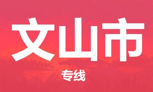 司前鎮(zhèn)到文山市物流專線|司前鎮(zhèn)到文山市?；愤\(yùn)輸電動車托運(yùn)